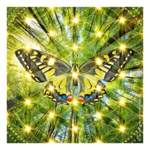 The Transformational Beauty of Creation