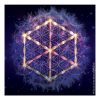 The Cosmic Seed