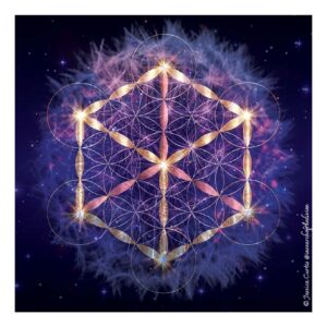 The Cosmic Seed