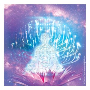 Sprouting from the Lotus