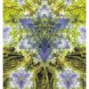 The Merkabah Tree of the Cosmic Buddha