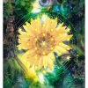 The Musical Symphony of the Garden of Creation