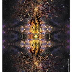 The Primordial Tree of Creation