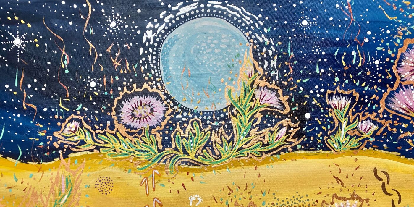 Grounded in the Stars exhibition image from Nature Festival 2026