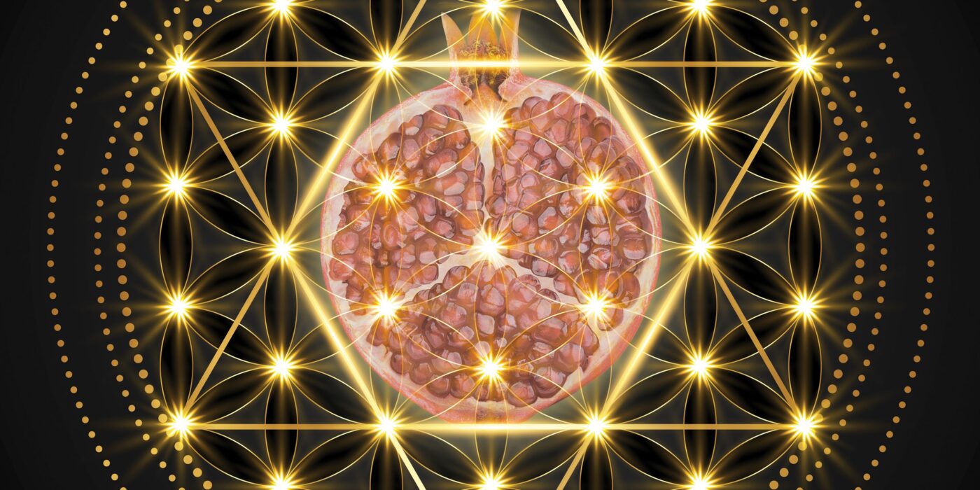 The Seed of Life group art exhibition official Nature Festival image